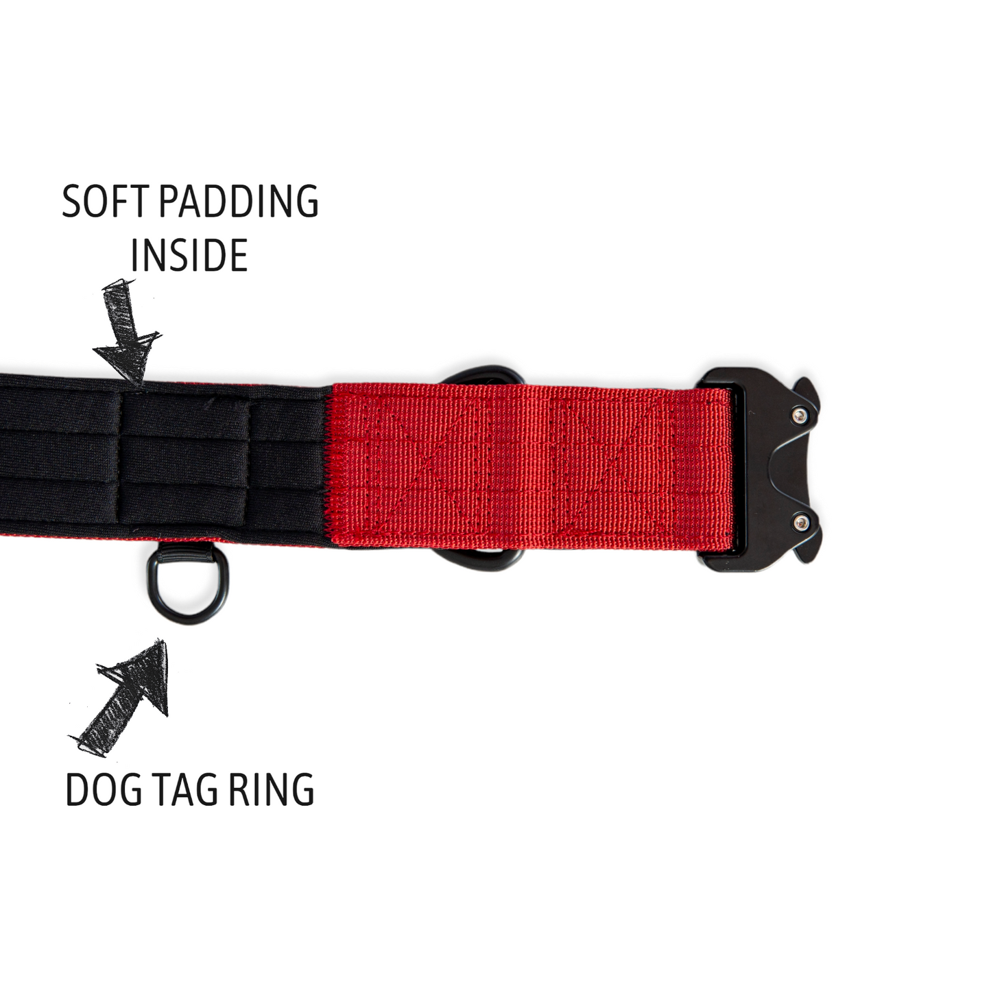 Everyday Dog Collar - Red 3.8cm/ 1.5"
