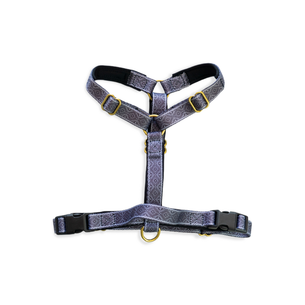 SPIRIT HARNESS