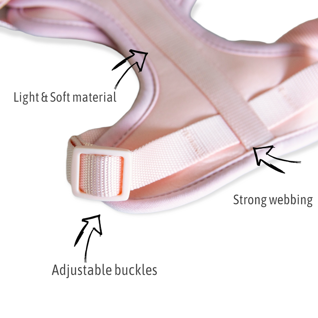 AIR HARNESS