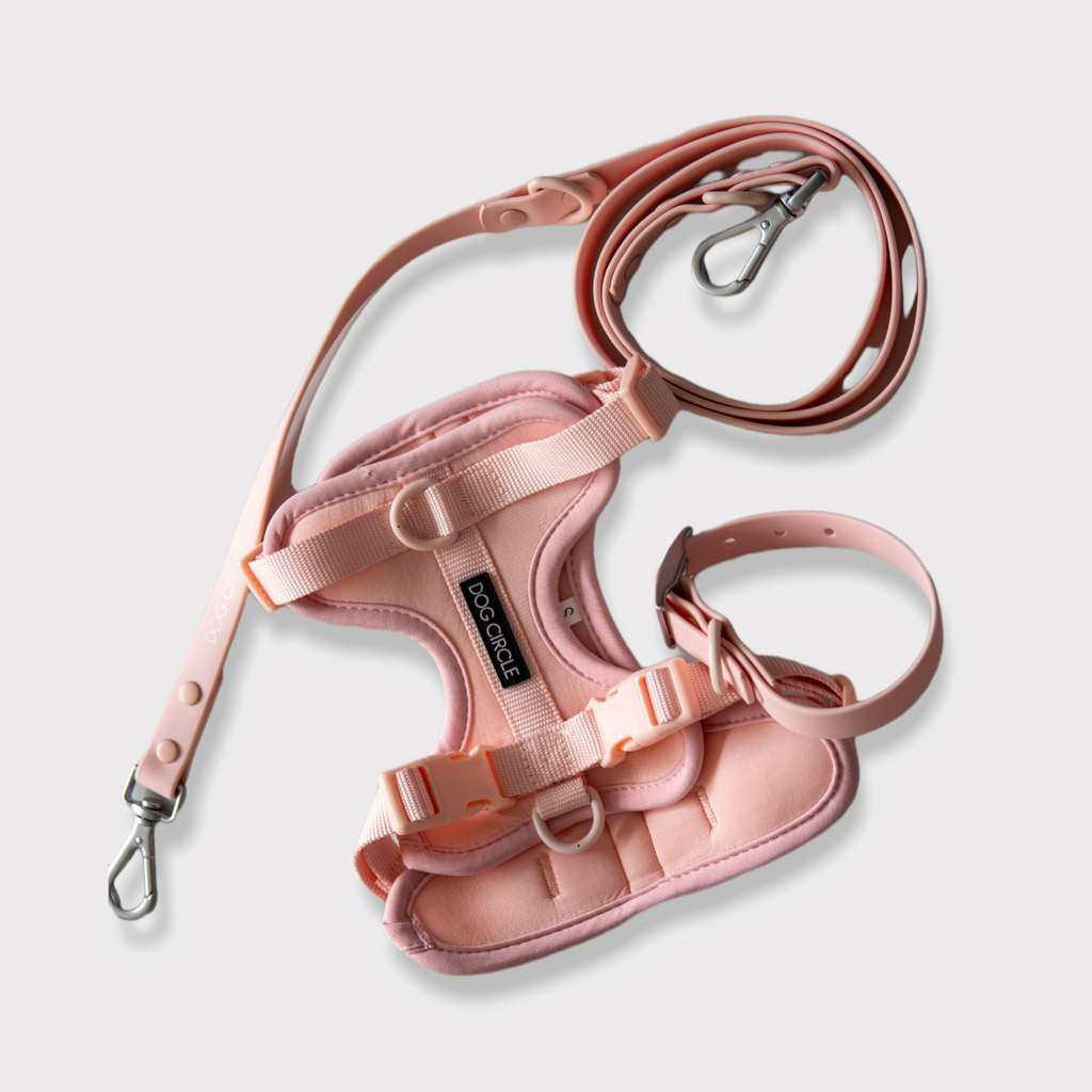 AIR HARNESS