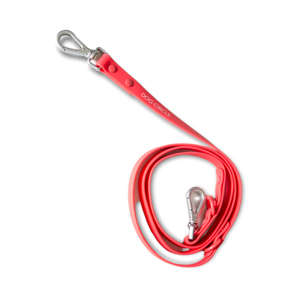 BIOTHANE LEASH