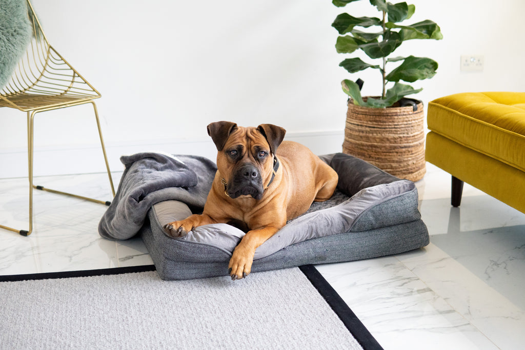 LUXE ORTHOPAEDIC DOG BED