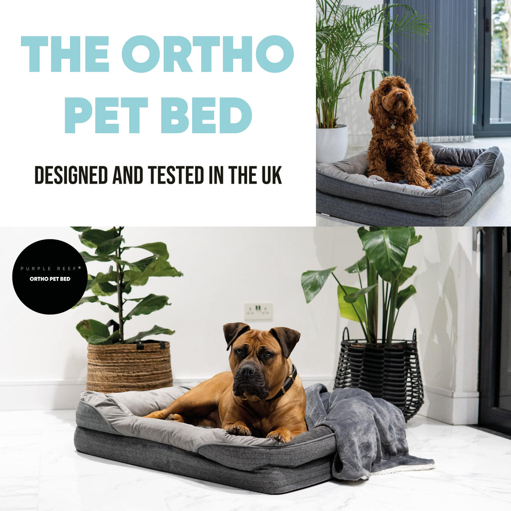 LUXE ORTHOPAEDIC DOG BED