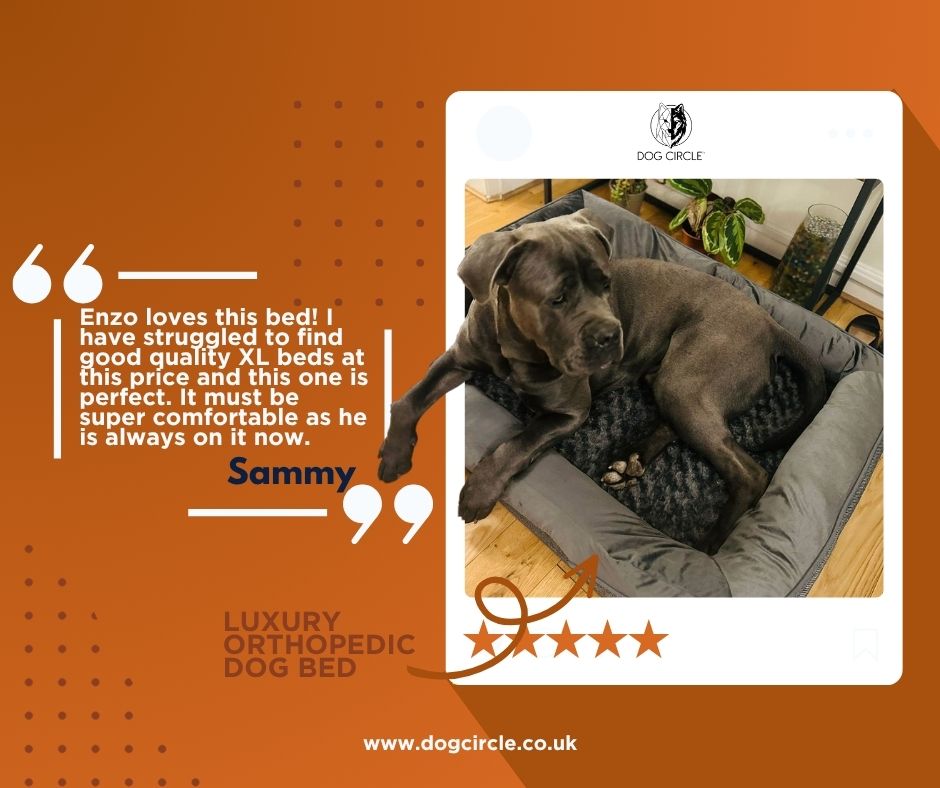 LUXE ORTHOPAEDIC DOG BED