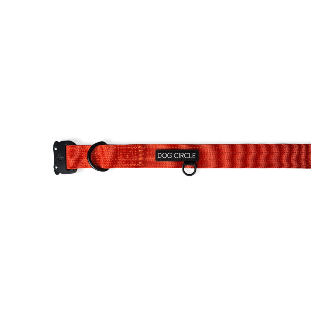 EVERYDAY DOG COLLAR (2.5cm/1" Wide)