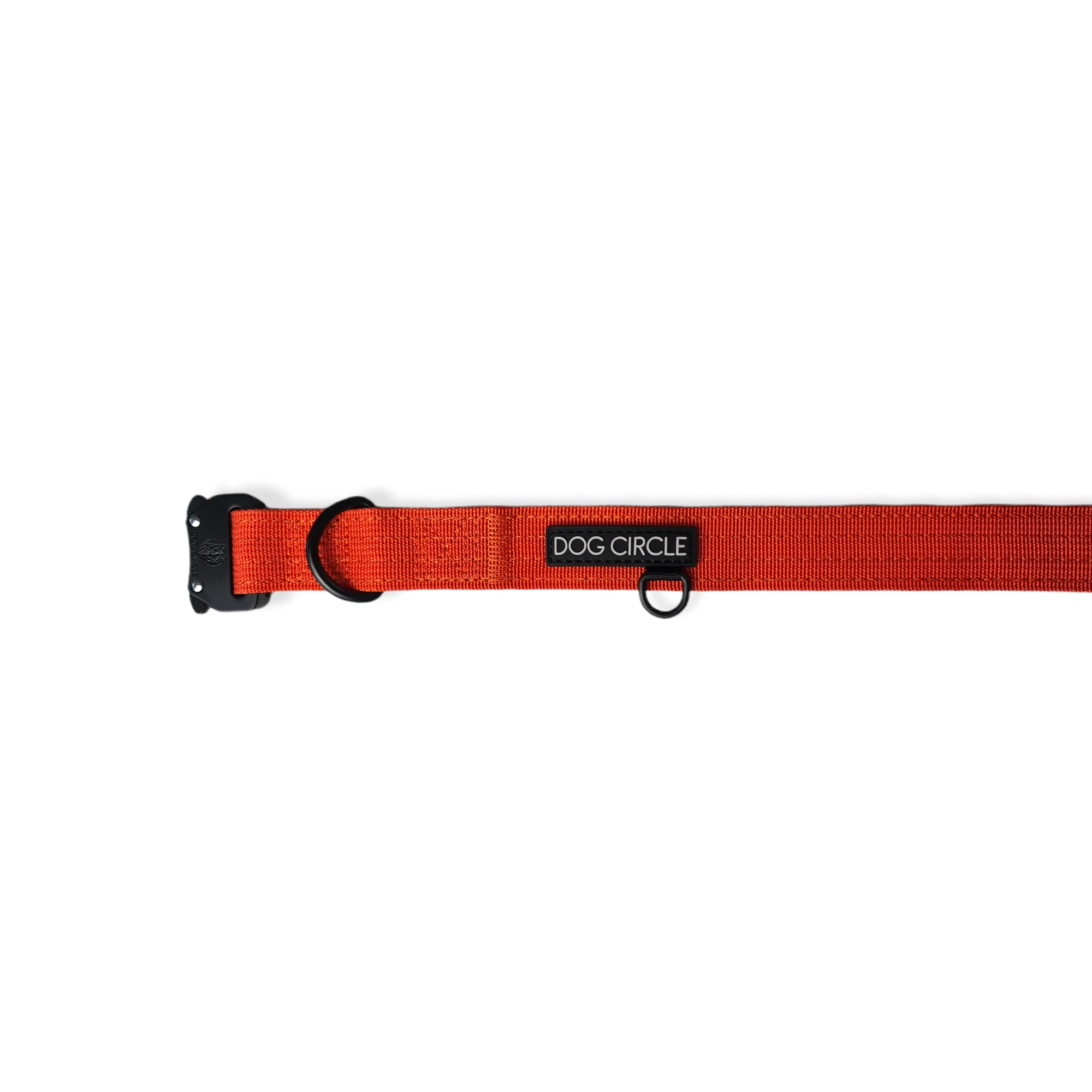 EVERYDAY DOG COLLAR (2.5cm/1" Wide)