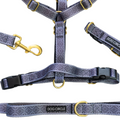 Dog harness and leash set with gold hardware on a white background, branded 'Dog Circle'.