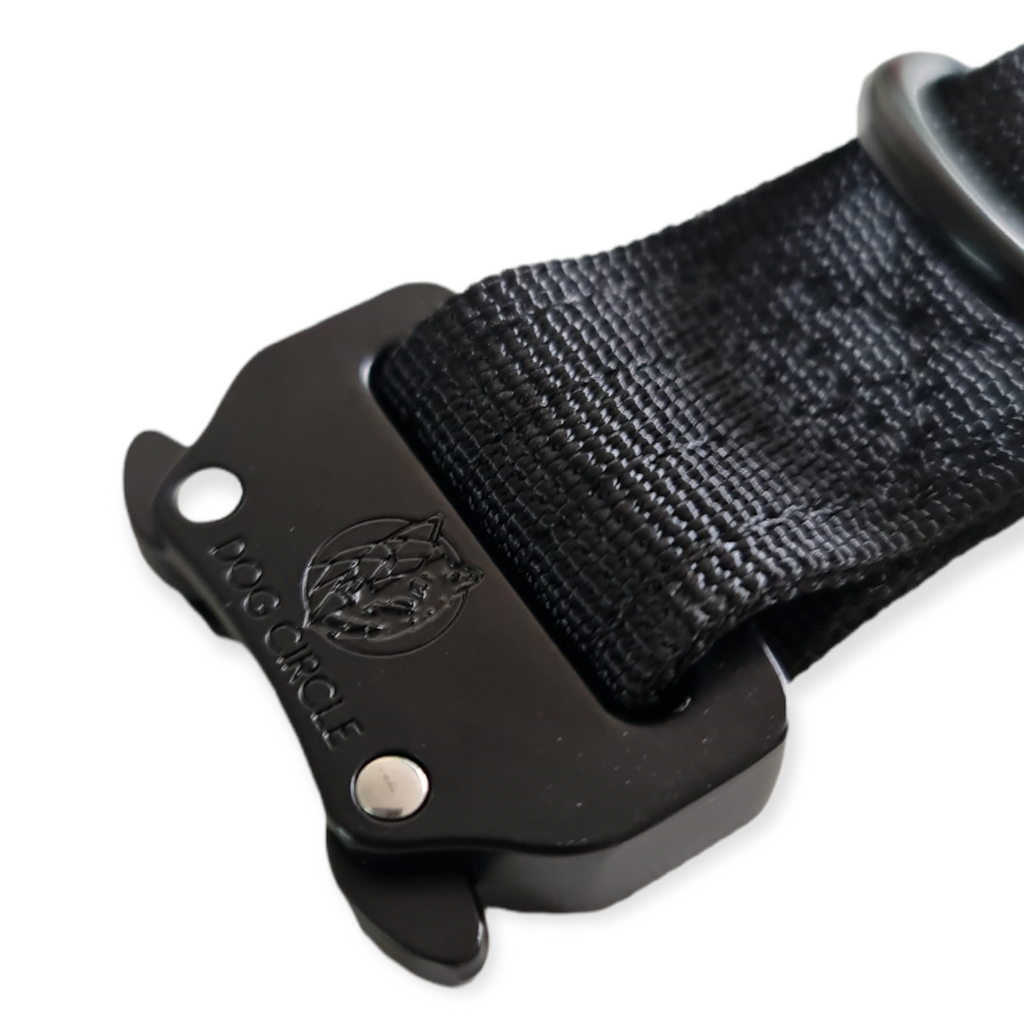 EVERYDAY DOG COLLAR (2.5cm/1" Wide)