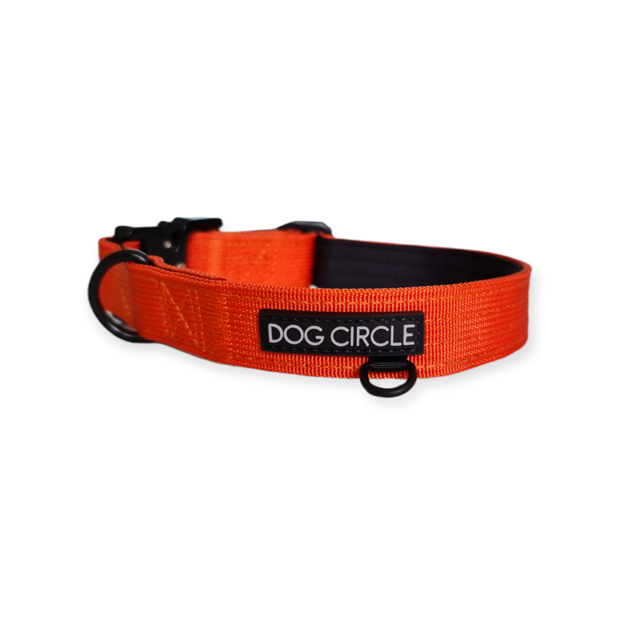 EVERYDAY DOG COLLAR (2.5cm/1" Wide)