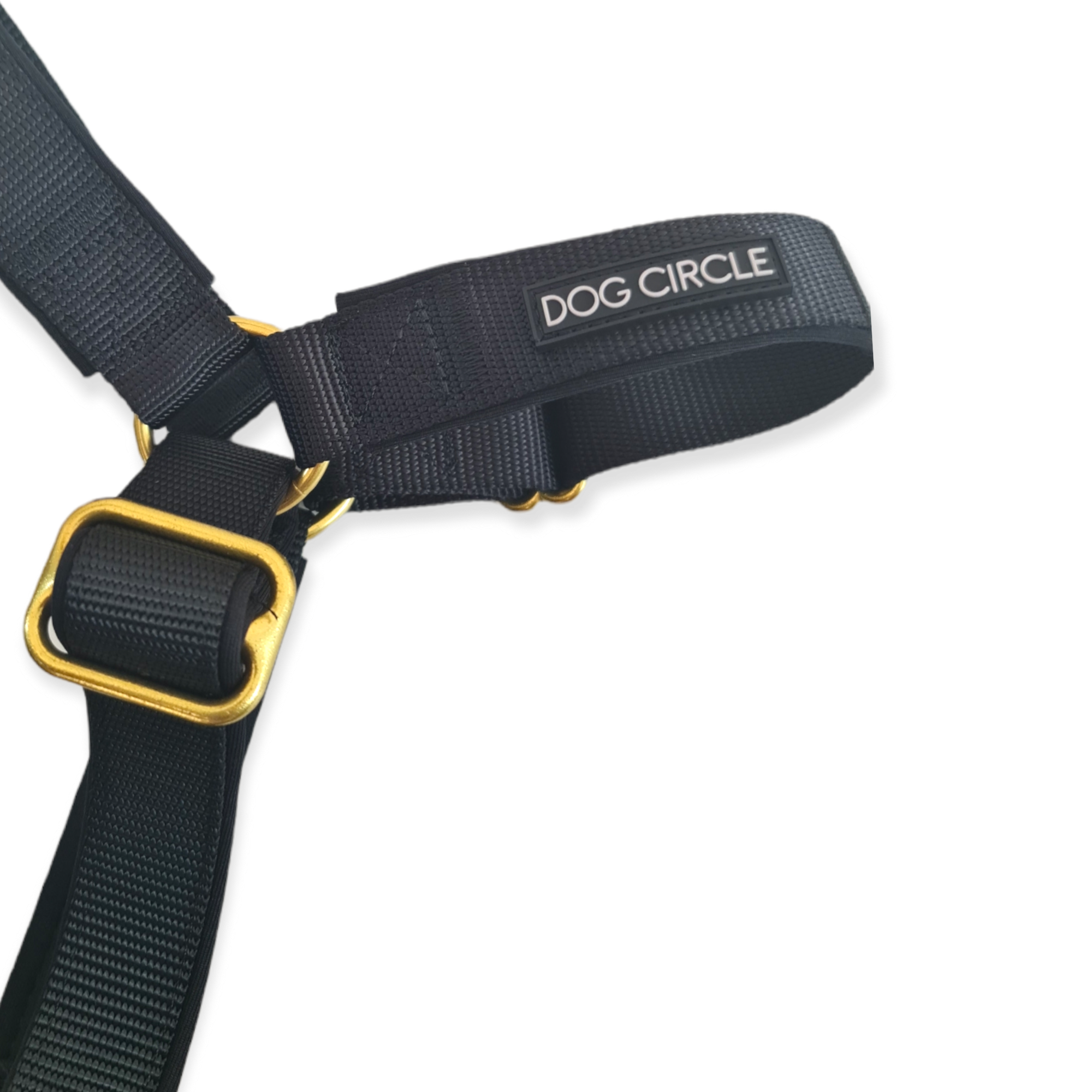 EVERYDAY HARNESS