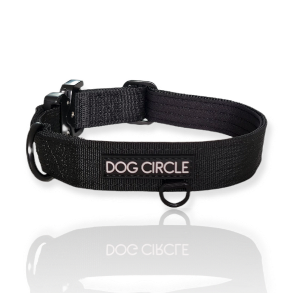 EVERYDAY DOG COLLAR (2.5cm/1" Wide)