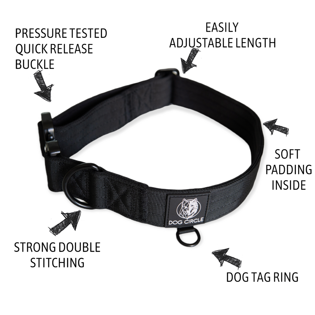 EVERYDAY DOG COLLAR (3.8cm/1.5" Wide & multiple colours)
