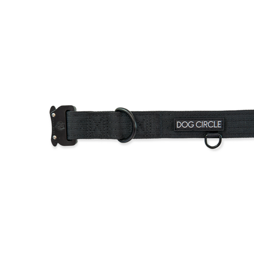 EVERYDAY DOG COLLAR (2.5cm/1" Wide)