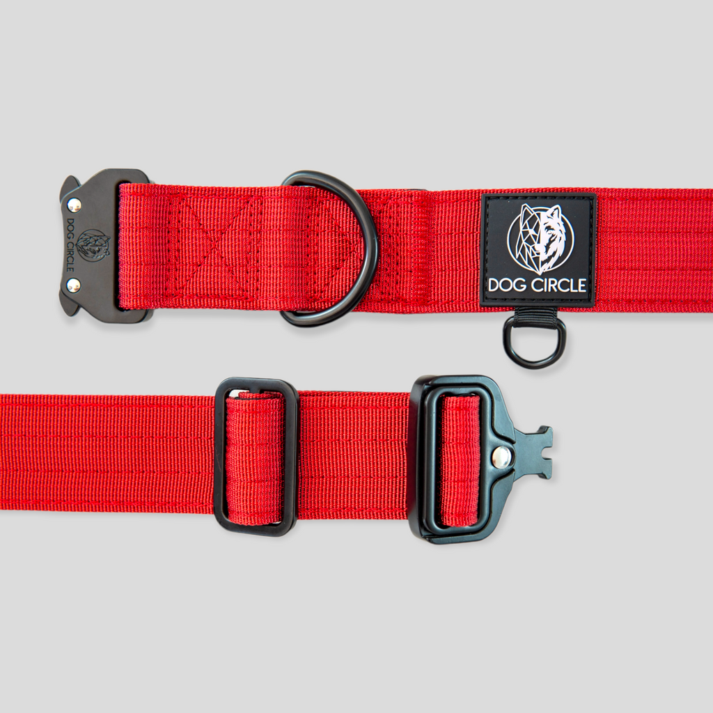 EVERYDAY DOG COLLAR (3.8cm/1.5" Wide & multiple colours)
