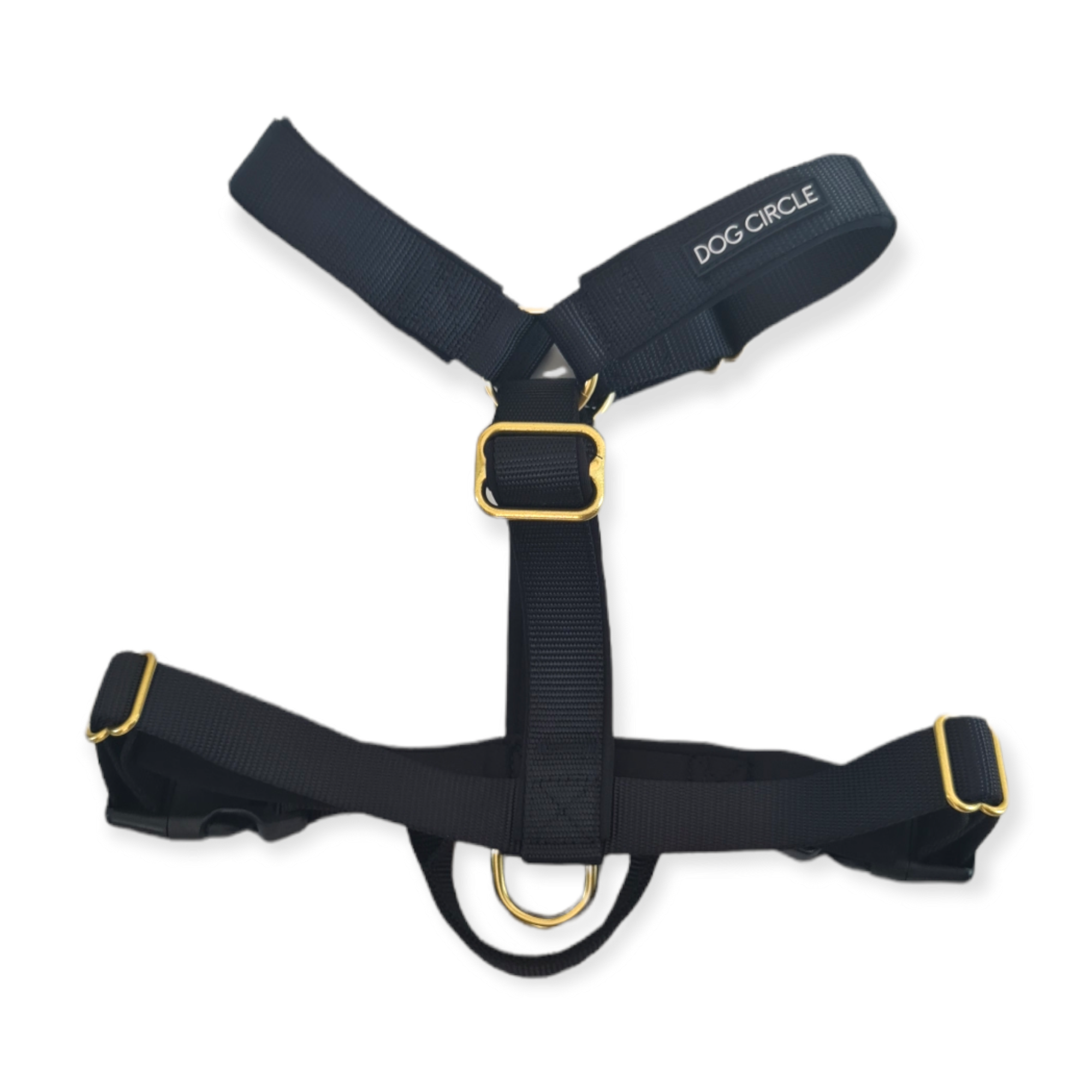 EVERYDAY HARNESS