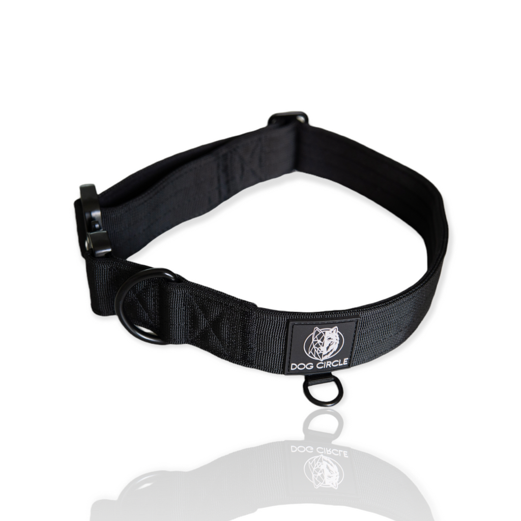 EVERYDAY DOG COLLAR (3.8cm/1.5" Wide & multiple colours)