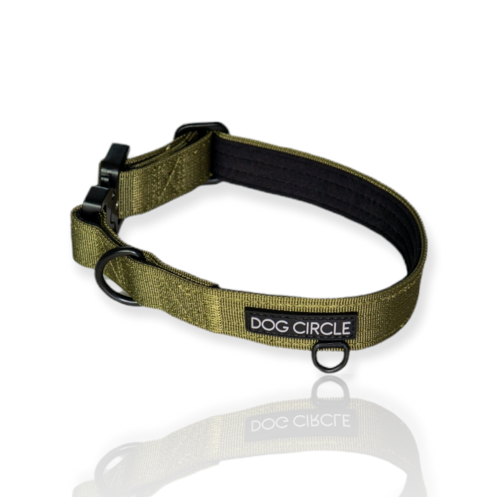 EVERYDAY DOG COLLAR (2.5cm/1" Wide)