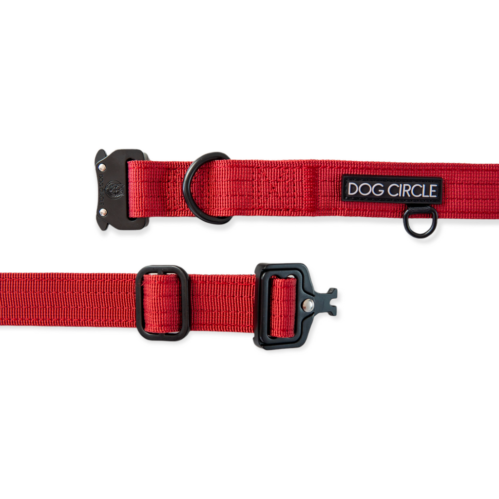 EVERYDAY DOG COLLAR (2.5cm/1" Wide)