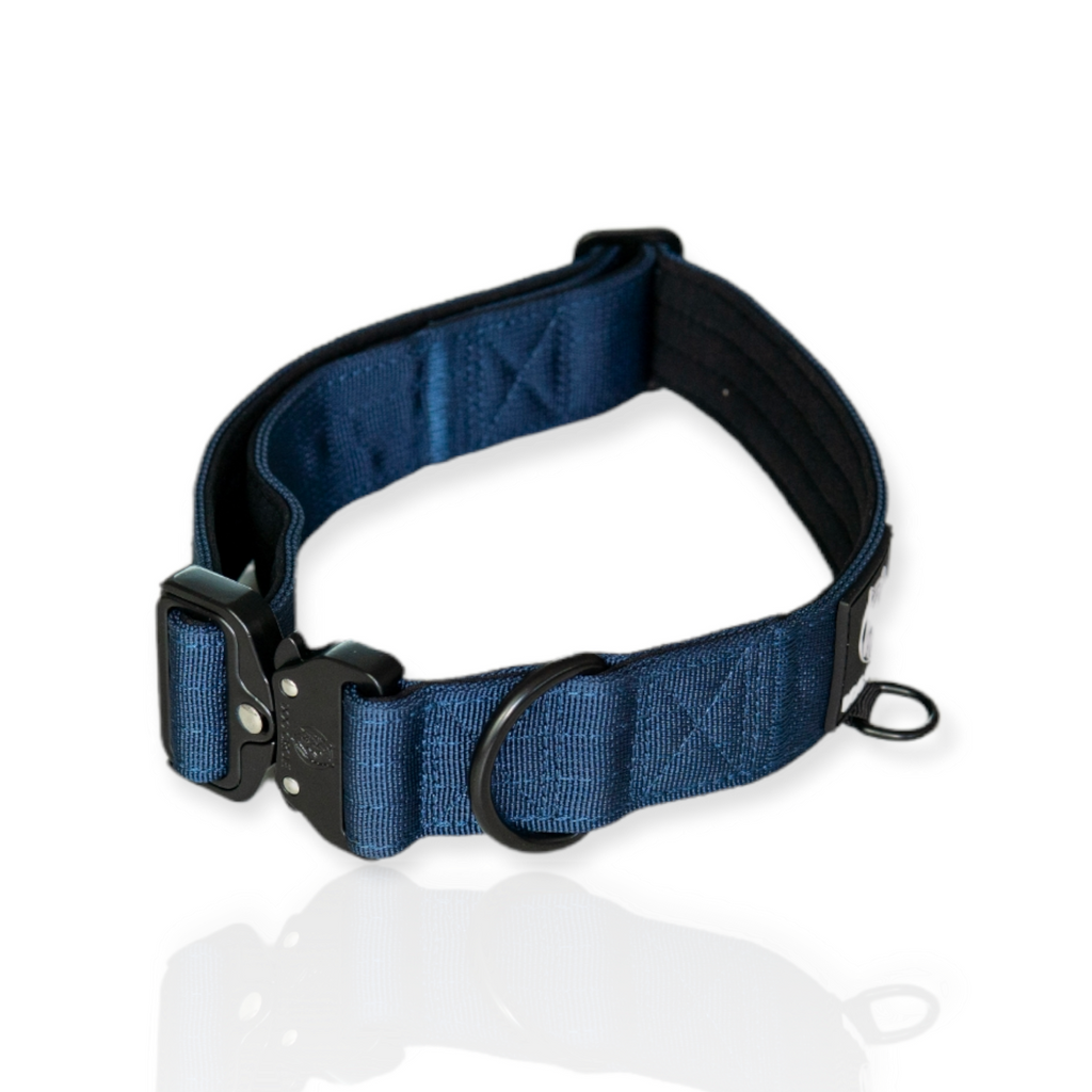 EVERYDAY DOG COLLAR (3.8cm/1.5" Wide & multiple colours)