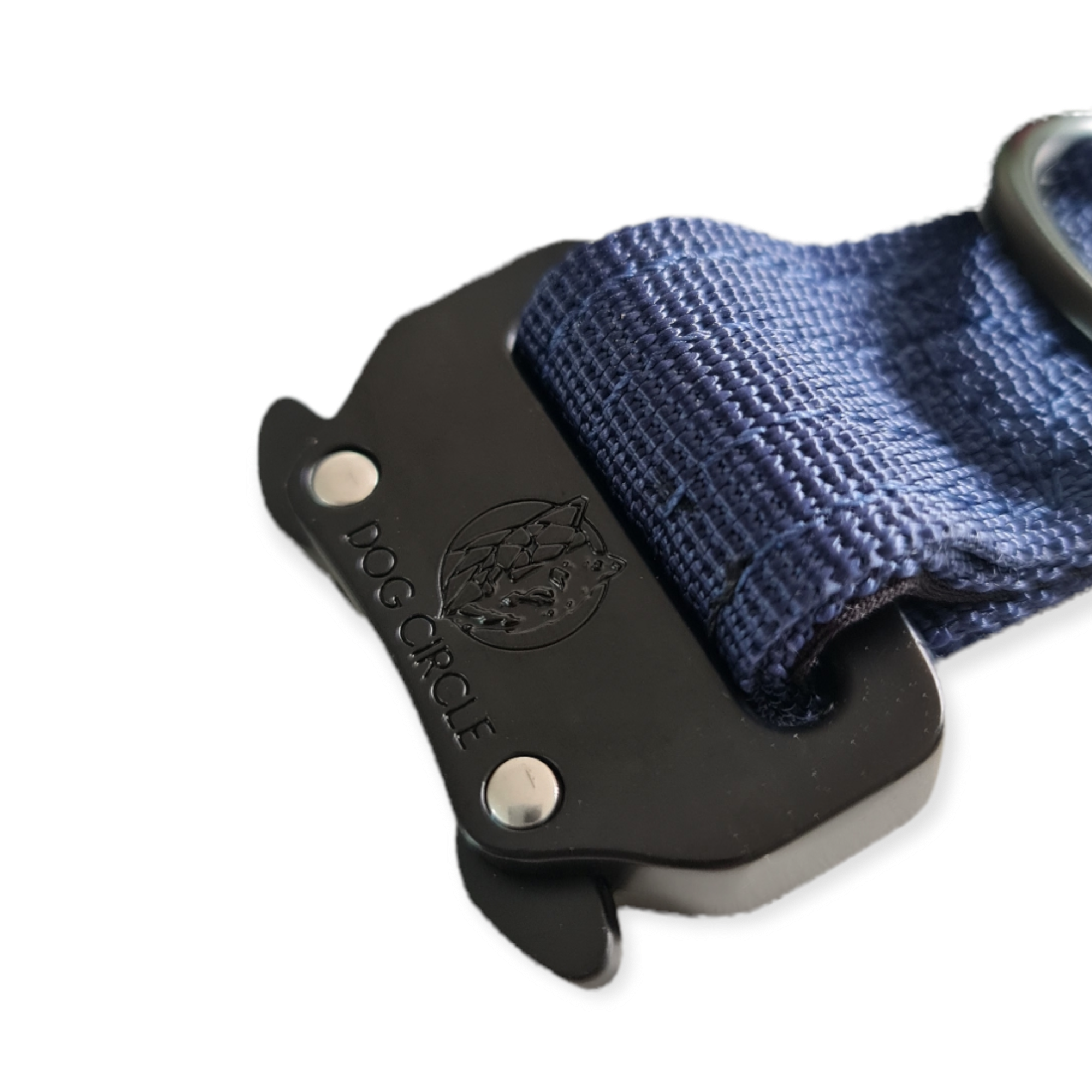 EVERYDAY DOG COLLAR (2.5cm/1" Wide)