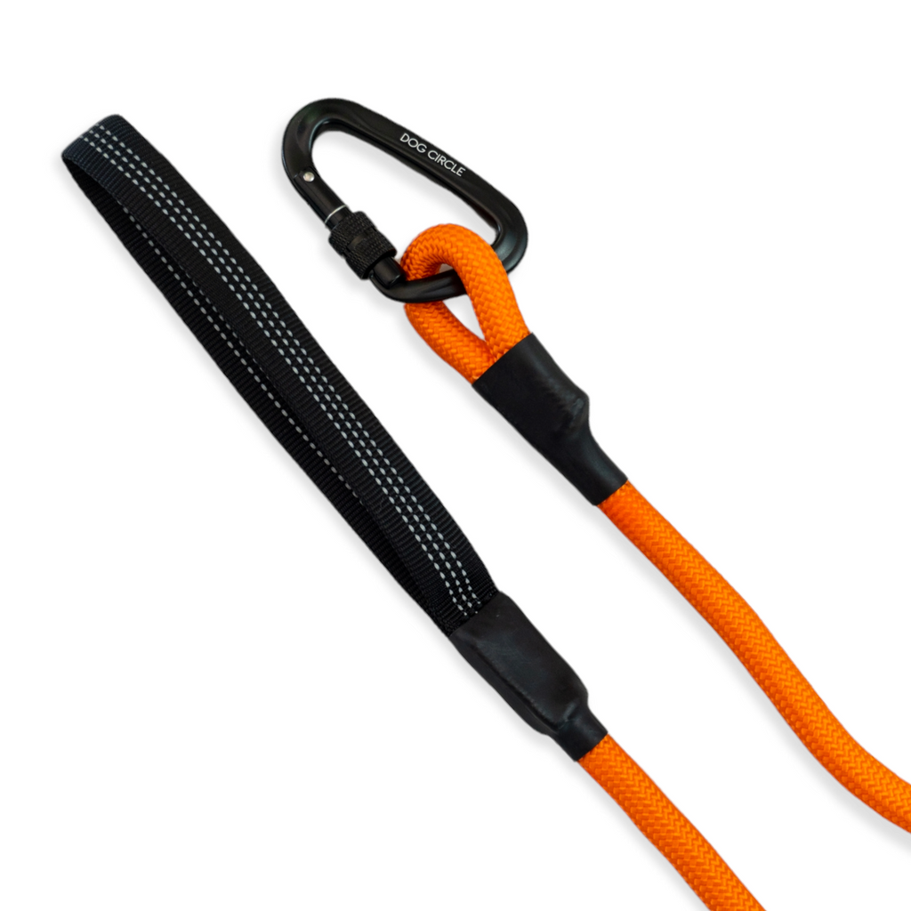 ROPE LEASH (double handle)