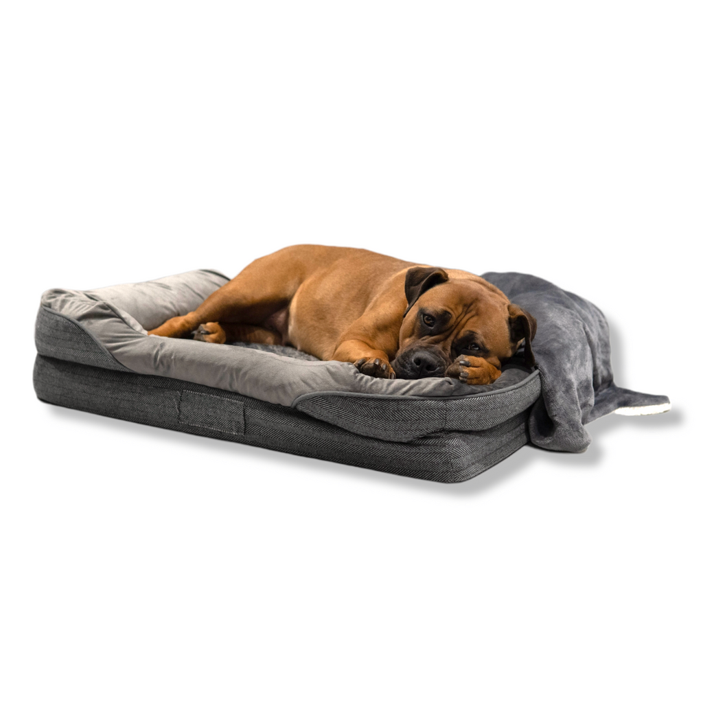 LUXE ORTHOPAEDIC DOG BED