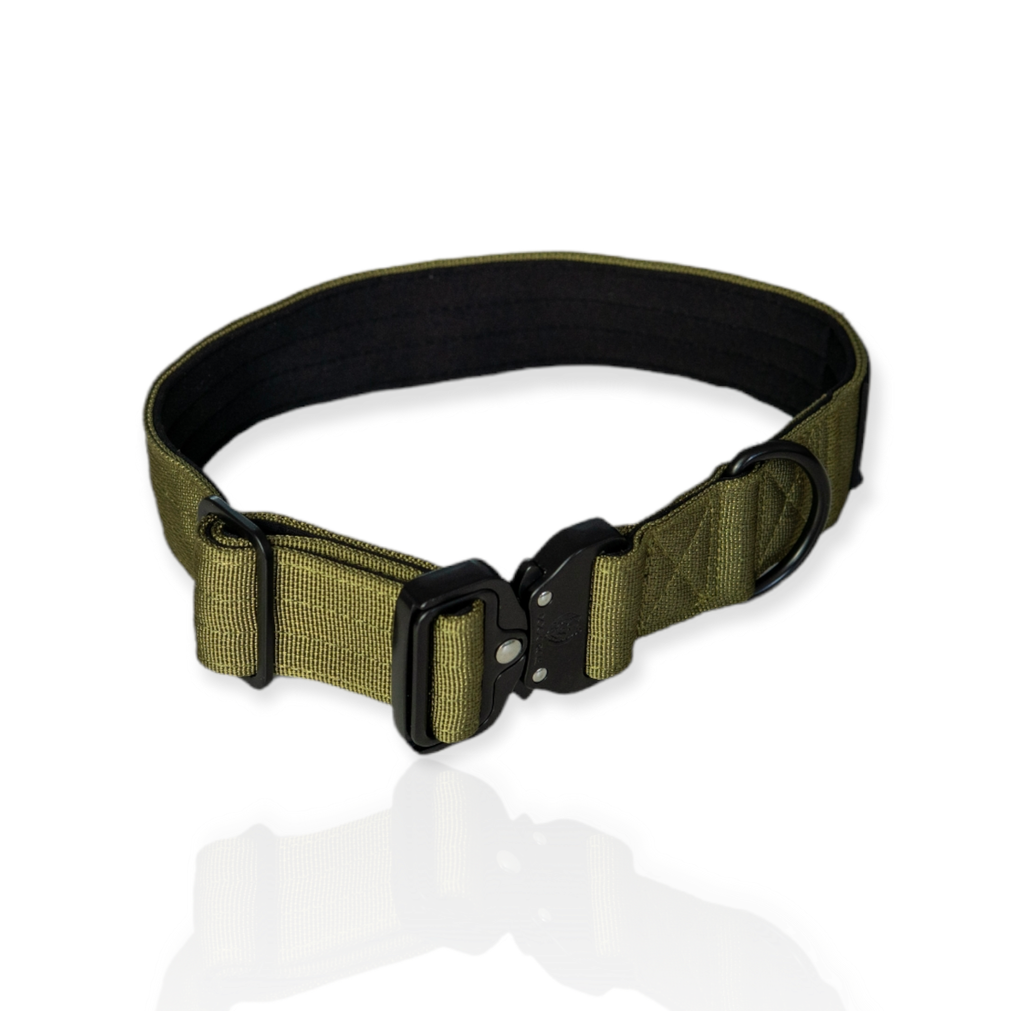 EVERYDAY DOG COLLAR (3.8cm/1.5" Wide & multiple colours)