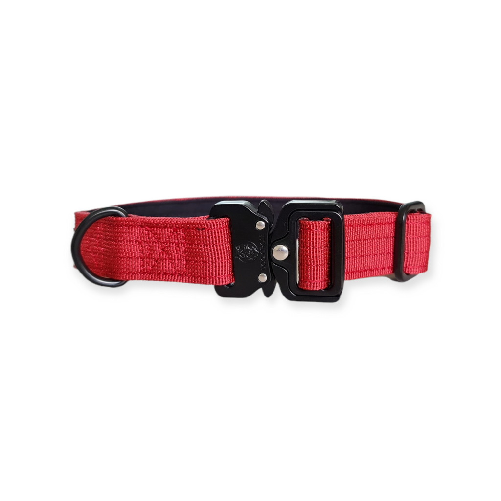 EVERYDAY DOG COLLAR (2.5cm/1" Wide)