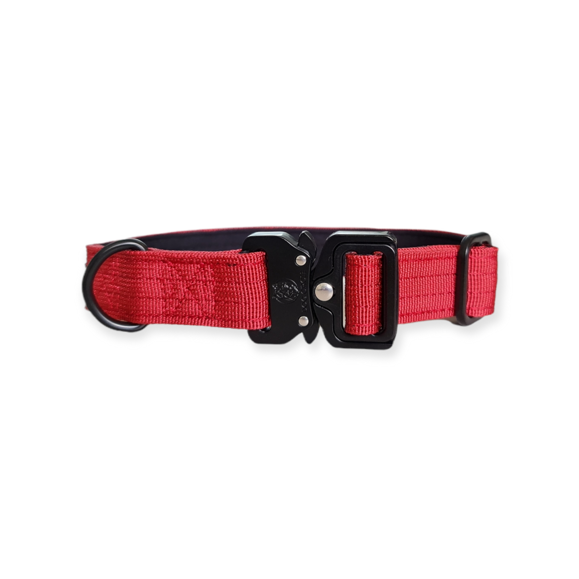 EVERYDAY DOG COLLAR (2.5cm/1" Wide)