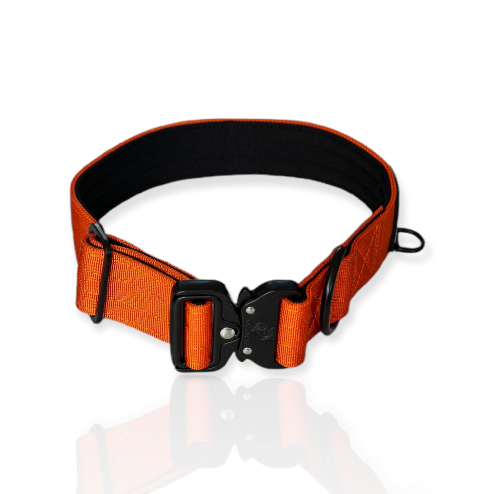 EVERYDAY DOG COLLAR (3.8cm/1.5" Wide & multiple colours)