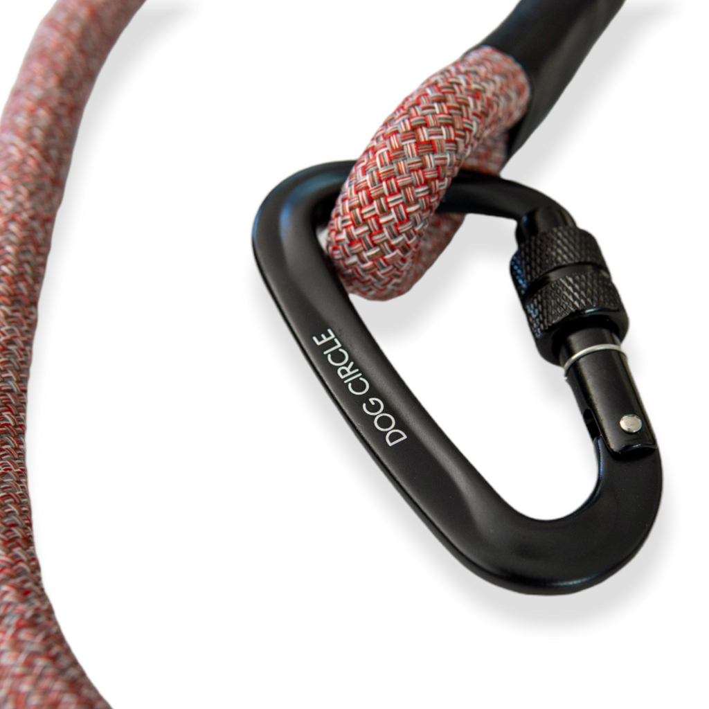 ROPE LEASH (double handle)