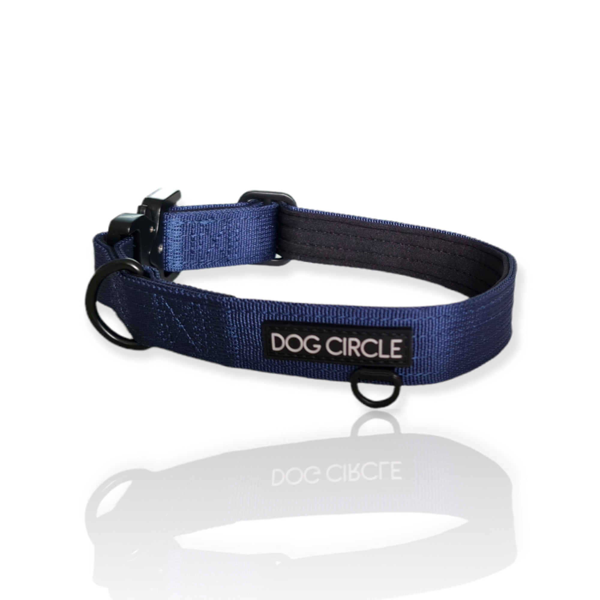 EVERYDAY DOG COLLAR (2.5cm/1" Wide)