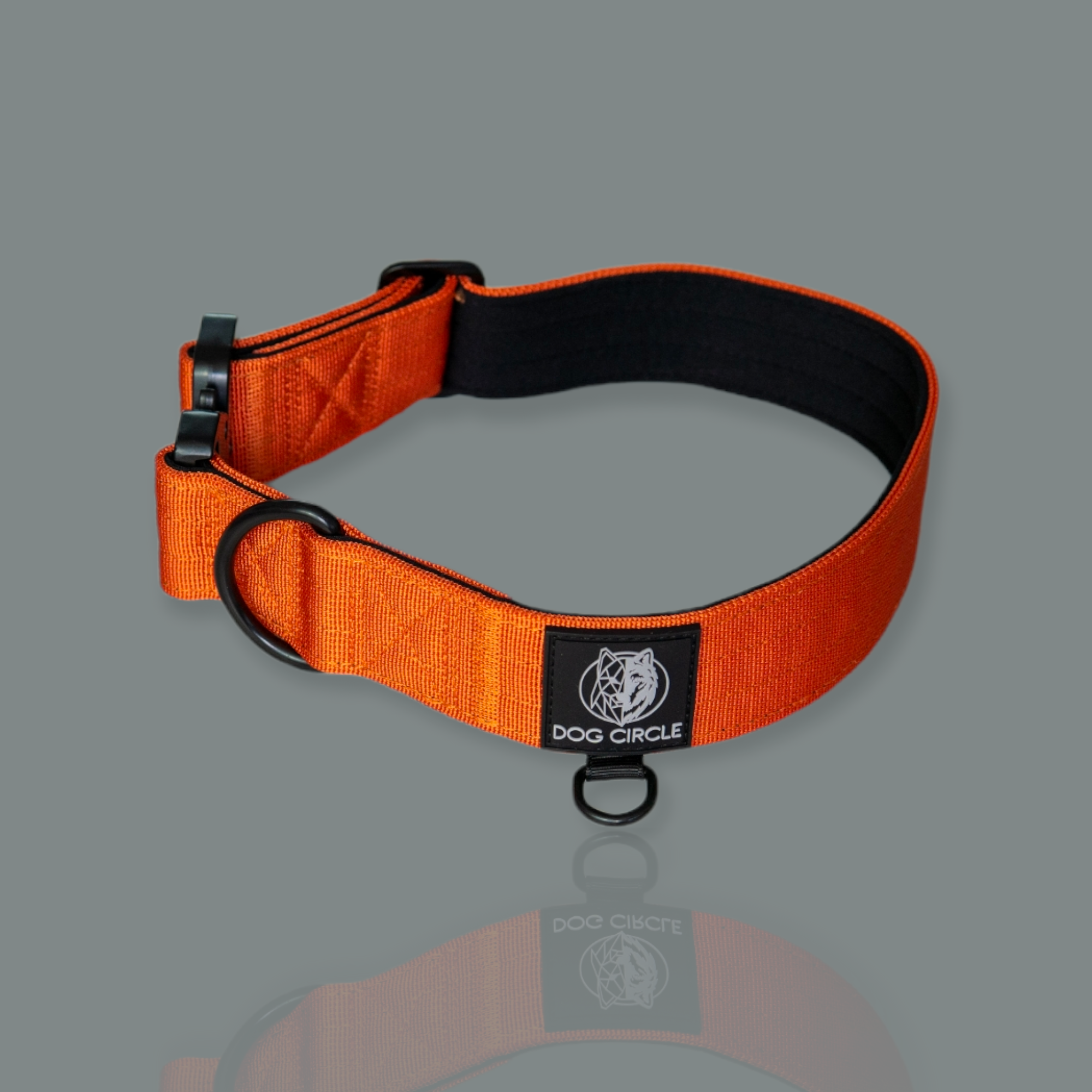 EVERYDAY DOG COLLAR (3.8cm/1.5" Wide & multiple colours)