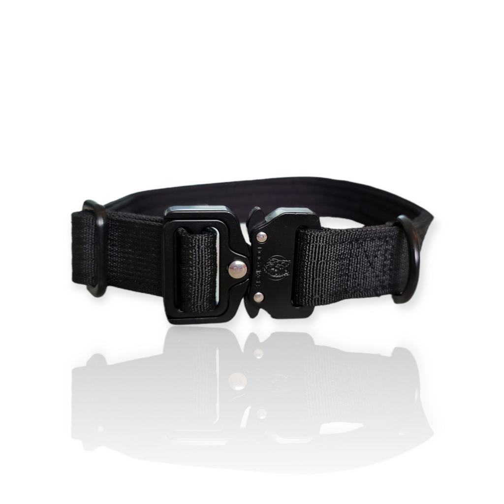 EVERYDAY DOG COLLAR (3.8cm/1.5" Wide & multiple colours)