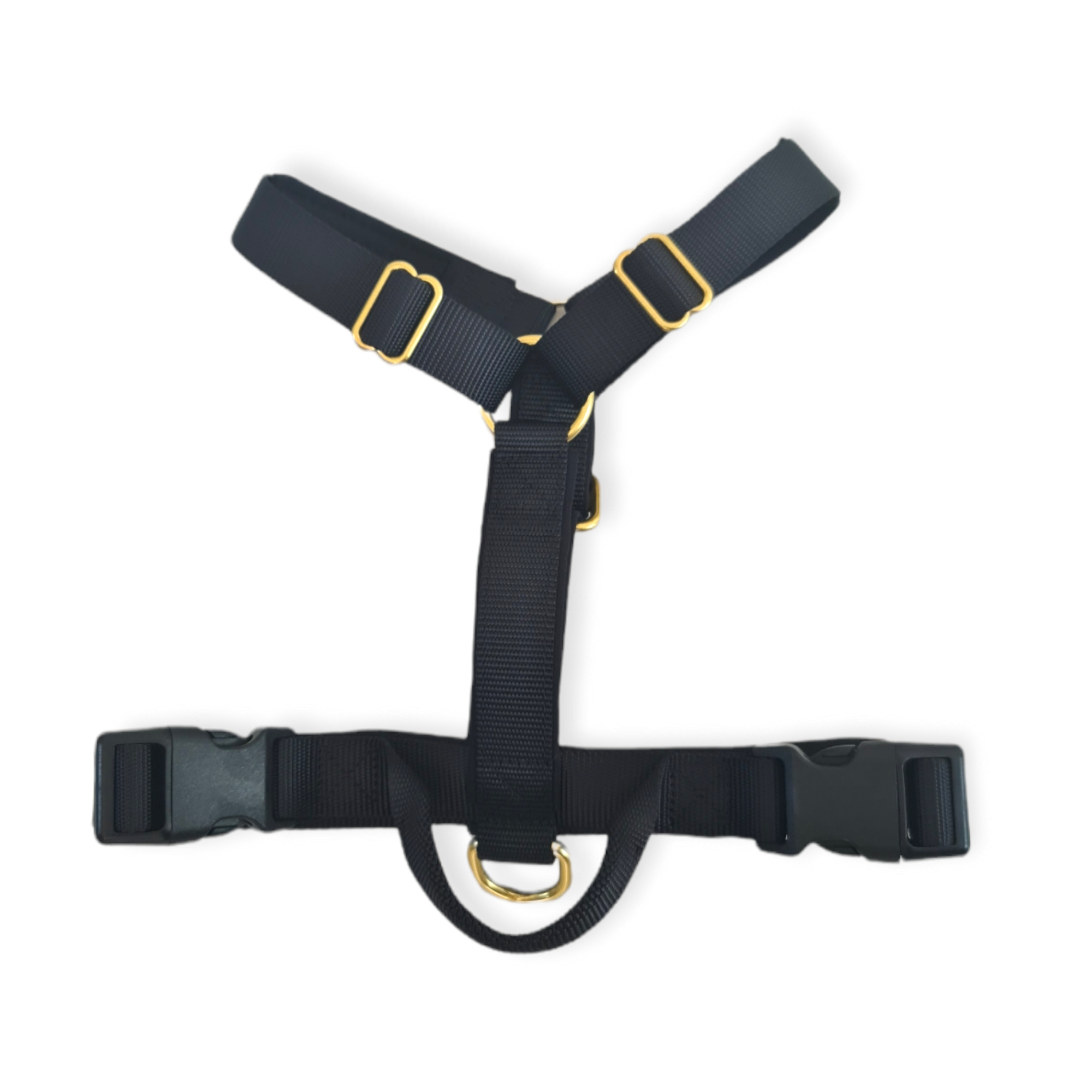 EVERYDAY HARNESS