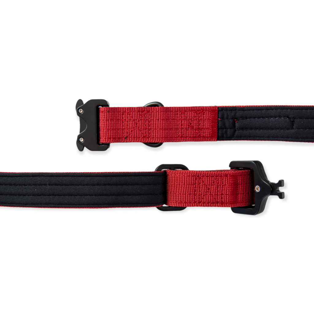 EVERYDAY DOG COLLAR (2.5cm/1" Wide)