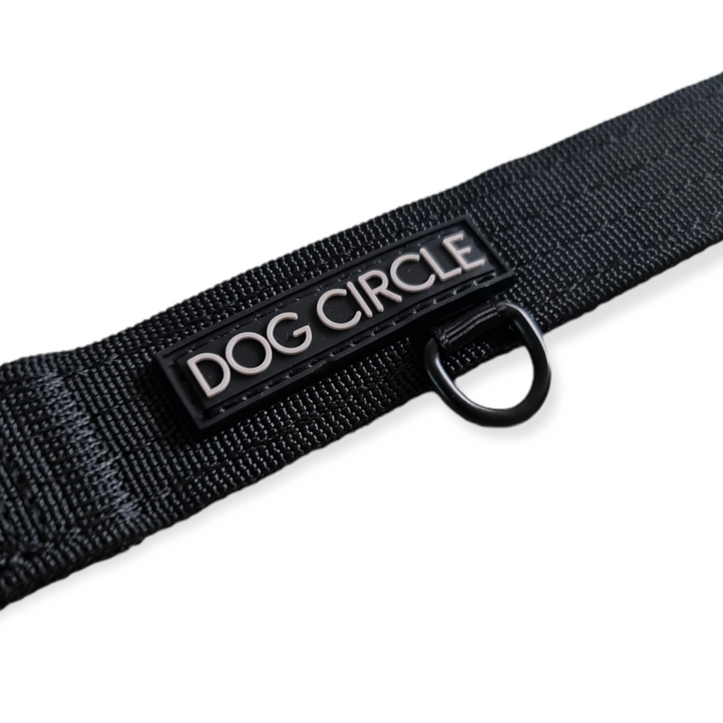 EVERYDAY DOG COLLAR (2.5cm/1" Wide)