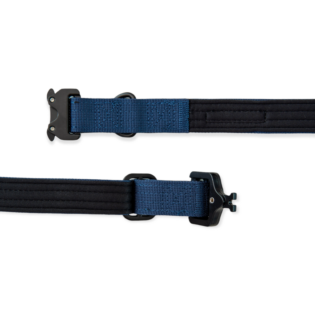 EVERYDAY DOG COLLAR (2.5cm/1" Wide)
