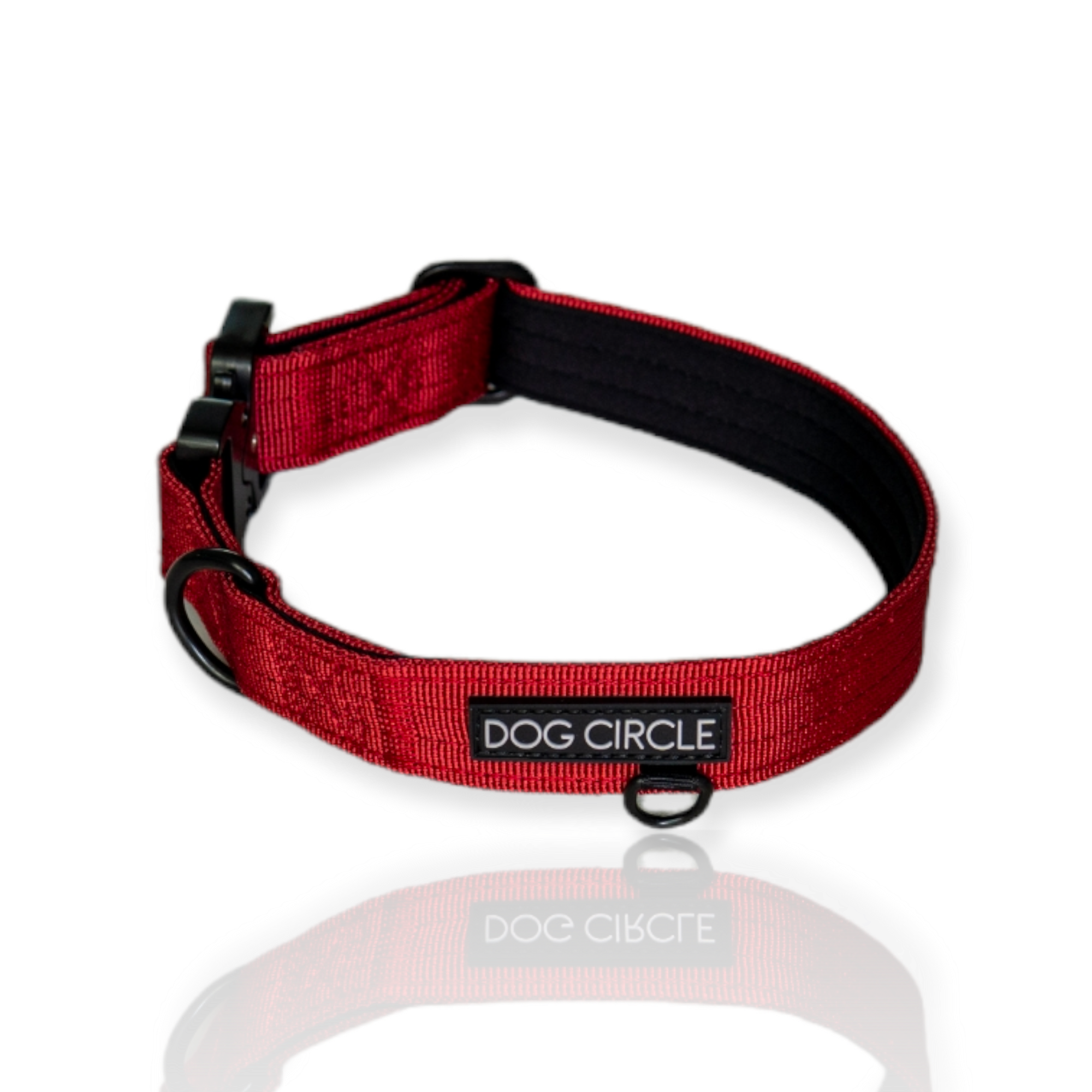 EVERYDAY DOG COLLAR (2.5cm/1" Wide)
