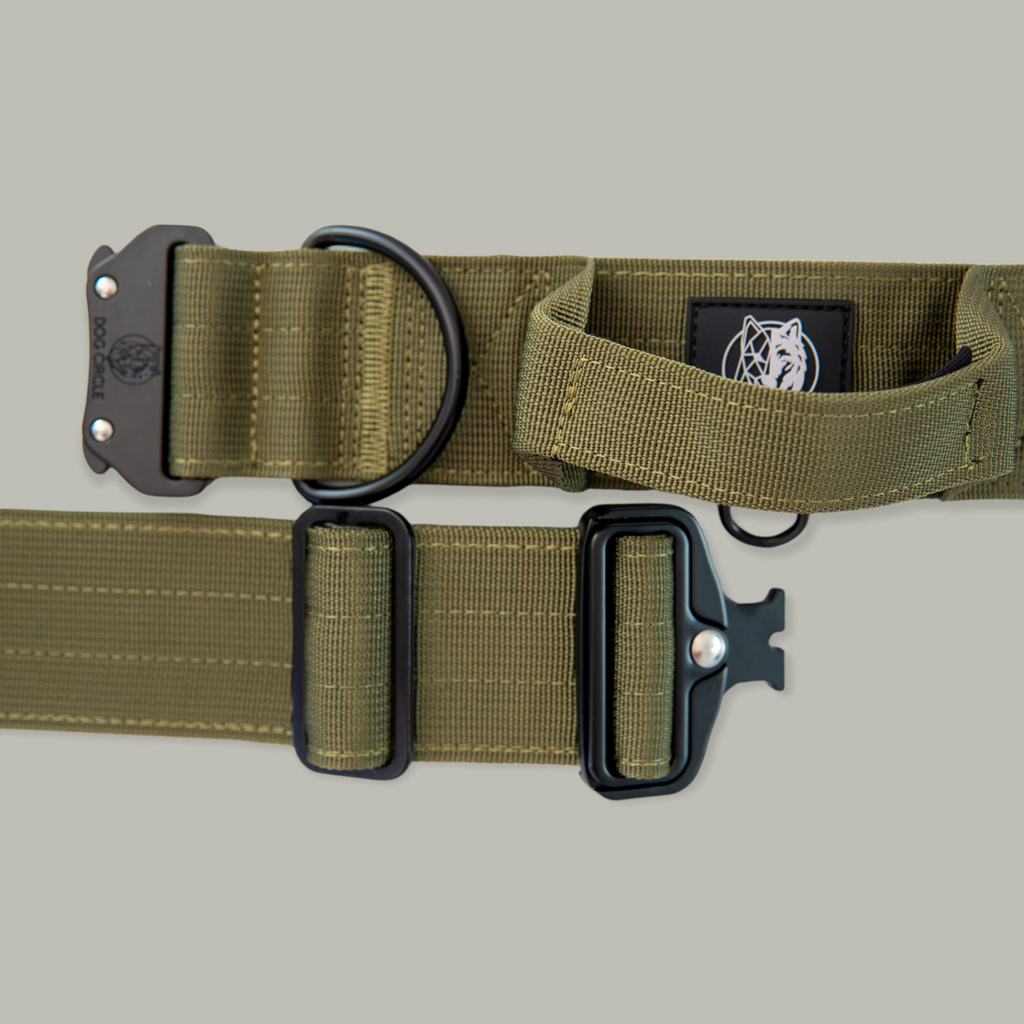EVERYDAY DOG COLLAR WITH HANDLE (Multiple colours)