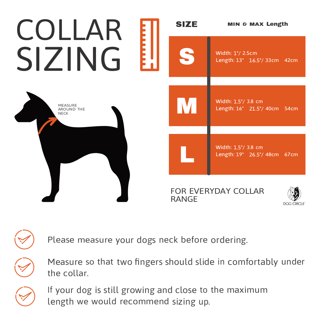 Medium dog collar size in cm shop