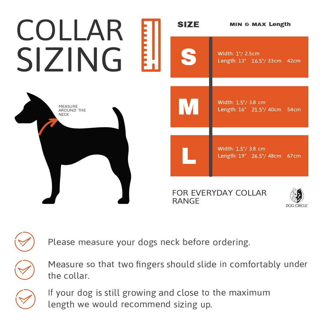 Everyday Collar Dog Circle
