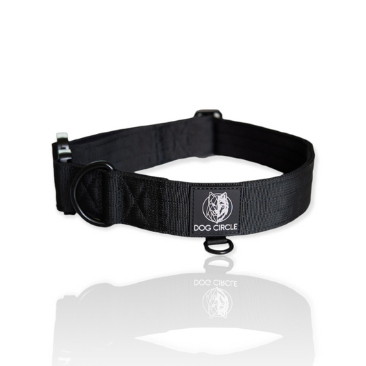 Everyday Dog Collar - Black  3.8cm/ 1.5"