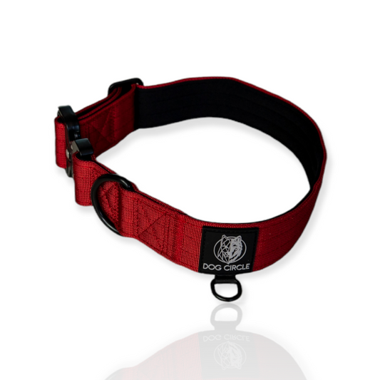 Everyday Dog Collar - Red 3.8cm/ 1.5"